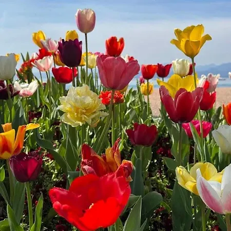 San Zeno 3, ,wi-fi, Park Appartement Bardolino