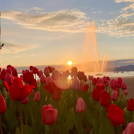 San Zeno 3, ,wi-fi, Park Apartman *