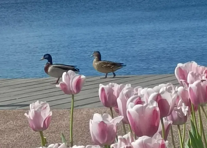 San Zeno 3, ,wi-fi, Park *